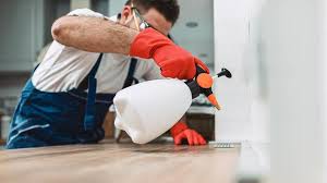 Best Emergency Pest Control  in Malaga, NJ